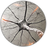neuropathy-neuron-circle-enews.jpg